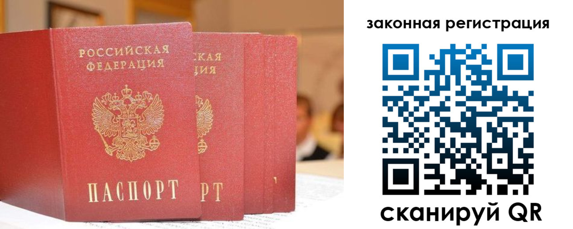 прописка поиск в Хвалынске